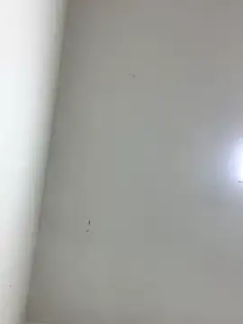 Snapshot of LinnaGardenia chatting on 10-01-25, 05:41 LinnaGardenia online show from 10-01-25, 05:41