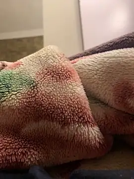 Snapshot of Gengista88 chatting on 02-15-26, 01:24 Gengista88 online show from 02-15-26, 01:24