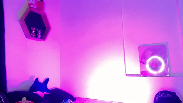 Gorrion   online show from 03-11-26, 03:12