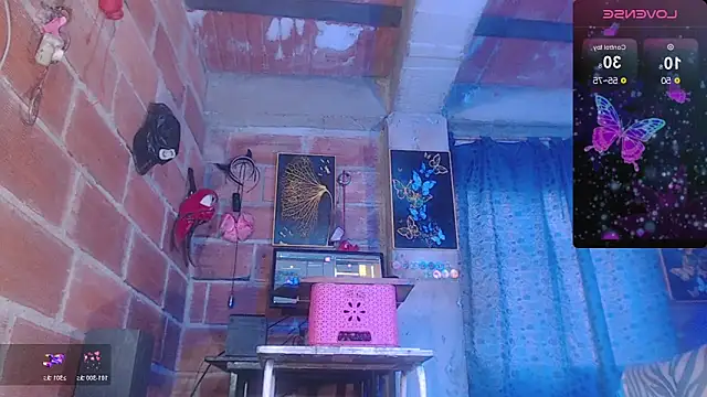 assbignatha online show from 02-08-26, 02:20