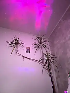 derek1494 online show from 01-05-26, 10:35