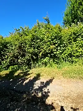 Reinacatchile online show from 12-14-24, 07:36