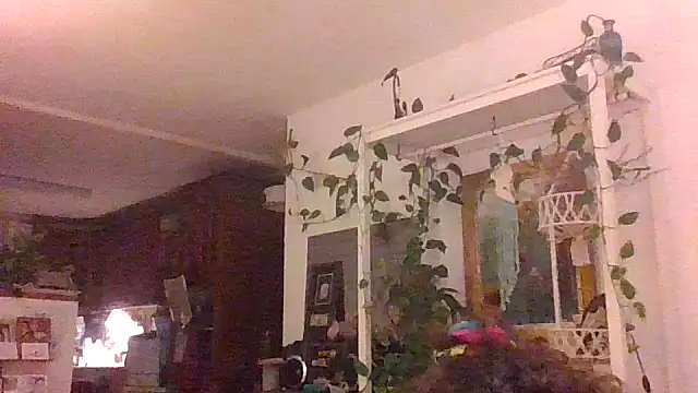 Snapshot of juicyrubies chatting on 09-16-25, 05:58 juicyrubies online show from 09-16-25, 05:58