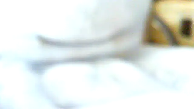 Snapshot of volfic@xh chatting on 04-05-26, 08:44 volficxh online show from 04-05-26, 08:44