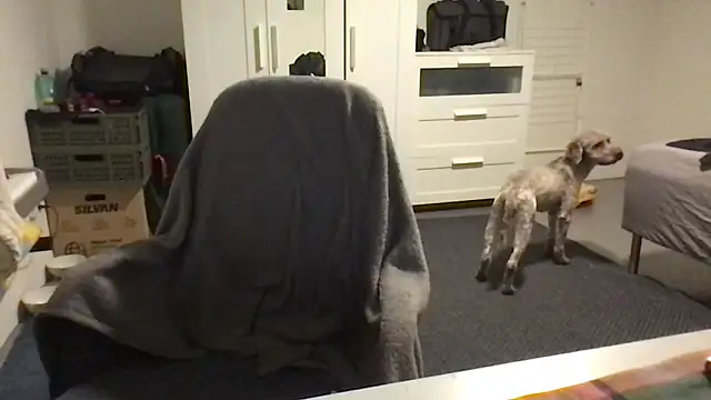 Totipro69 online show from 02-16-25, 07:05