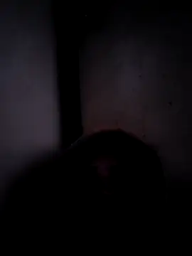 ListedLoin online show from 03-17-26, 03:55