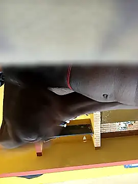 Tamil boy age28 online show from 01-12-26, 03:34