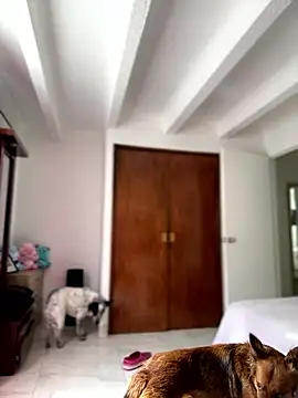 Salome golvert online show from 01-09-26, 03:48