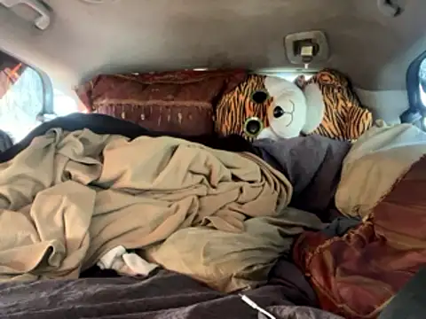 SlimeCrownzOut5 online show from 01-11-26, 06:46