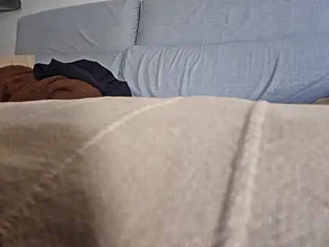 PeDrO2024 25 online show from 02-26-26, 11:53