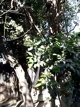 Snapshot of Hot-rubina chatting on 03-05-25, 03:18 Hot-rubina online show from 03-05-25, 03:18