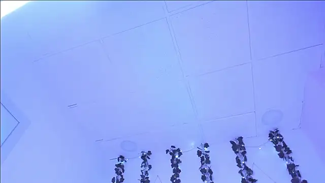 Snapshot of SophieHill_gh chatting on 01-16-25, 01:27 SophieHill gh online show from 01-16-25, 01:27