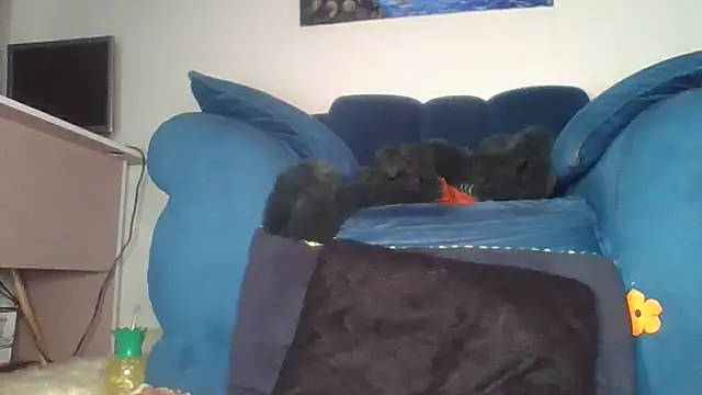 SquirtQueen222 online show from 06-04-26, 04:13