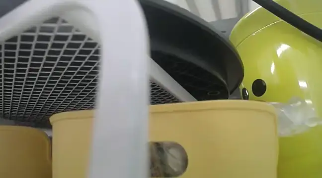 Lovensetest online show from 12-19-24, 10:24