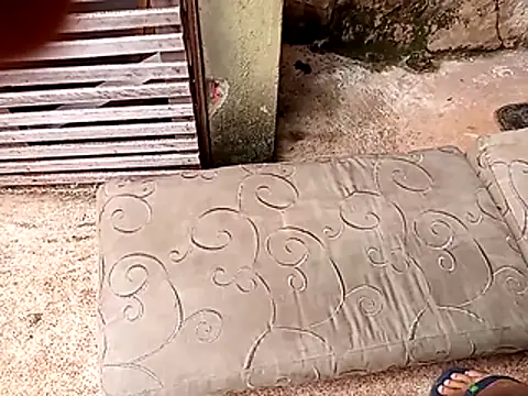 Snapshot of wel9238 chatting on 02-25-26, 04:38 wel9238 online show from 02-25-26, 04:38