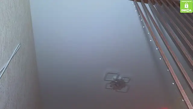 Katy perry  online show from 11-27-25, 03:52