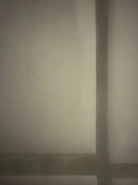 Snapshot of orient_zob chatting on 02-19-26, 12:39 orient zob online show from 02-19-26, 12:39