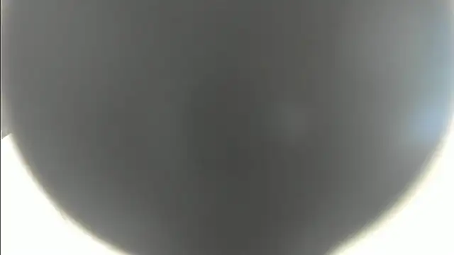 linasantoss online show from 01-26-25, 05:13