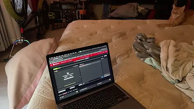 Snapshot of kameray12 chatting on 11-08-25, 04:56 kameray12 online show from 11-08-25, 04:56