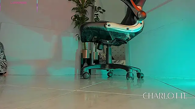 charlotte  grey online show from 11-20-25, 08:41