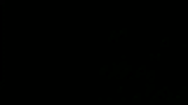 Snapshot of SensualJane2 chatting on 01-05-25, 06:13 SensualJane2 online show from 01-05-25, 06:13
