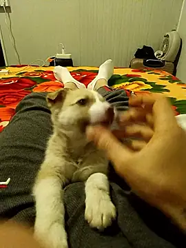 arenn1997 online show from 01-10-26, 12:23