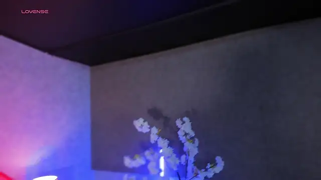 Snapshot of MelodyAdamss chatting on 02-14-26, 11:34 MelodyAdamss online show from 02-14-26, 11:34