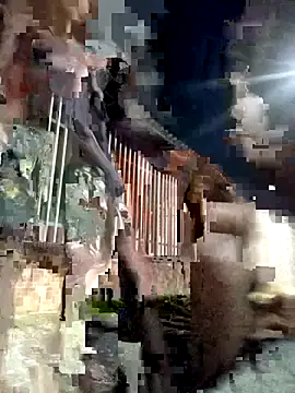 Snapshot of Gutierrez6383 chatting on 04-21-26, 04:52 Gutierrez6383 online show from 04-21-26, 04:52
