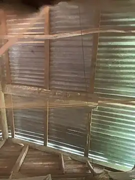 Snapshot of phola12 chatting on 02-27-25, 07:47 phola12 online show from 02-27-25, 07:47