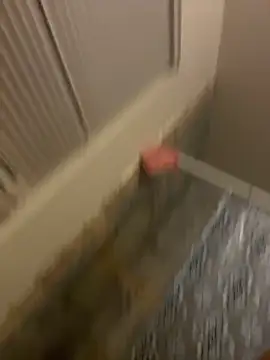 prettlovely14 online show from 02-20-26, 04:42