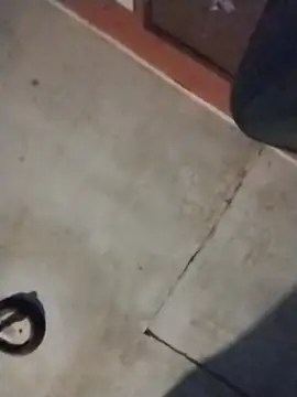 brownfeet online show from 12-24-24, 10:39