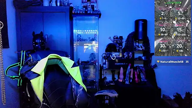 samaelO69 online show from 12-29-24, 06:35