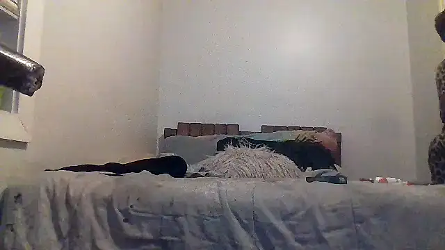 Snapshot of AllLeggs chatting on 03-20-26, 03:33 AllLeggs online show from 03-20-26, 03:33