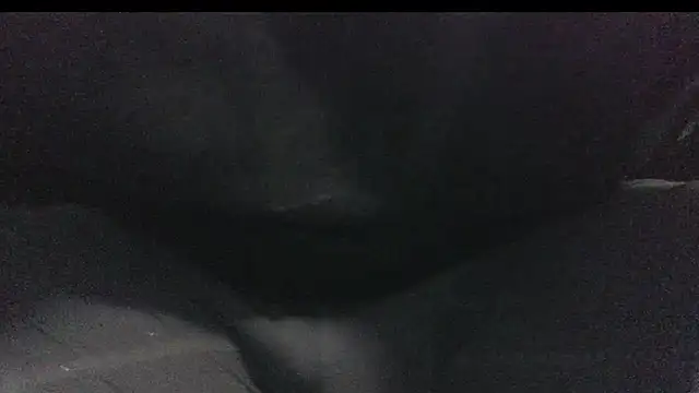 Snapshot of robeaulieu02 chatting on 02-23-25, 06:17 robeaulieu02 online show from 02-23-25, 06:17