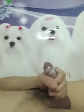 826687 online show from 03-02-26, 01:40