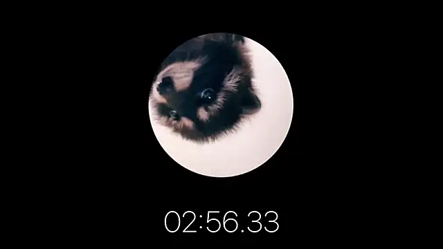 Snapshot of les_mod_sc2 chatting on 02-12-25, 01:59 les mod sc2 online show from 02-12-25, 01:59