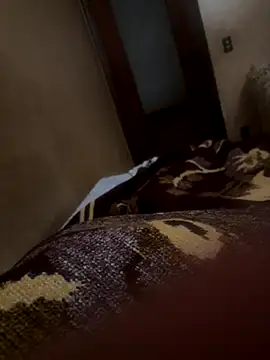 bigboy30X online show from 10-21-25, 02:51