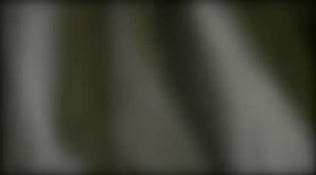 Snapshot of YoungHairyBi chatting on 02-28-25, 08:42 YoungHairyBi online show from 02-28-25, 08:42