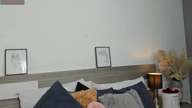 SaraaJhonsonn online show from 04-11-26, 03:05