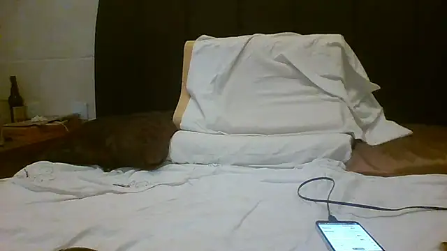 Denisilboss online show from 03-24-26, 03:50