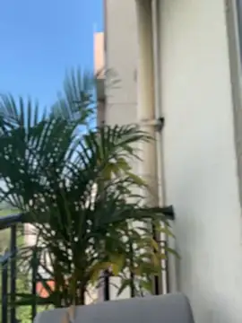 Pretty Isadora online show from 02-04-26, 08:03