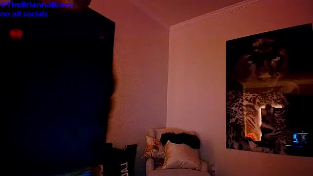 BriannaBrave online show from 03-24-26, 04:50