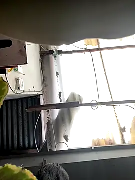 luna asss online show from 10-25-25, 07:30