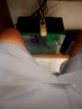 betinhodelas online show from 10-18-25, 05:14