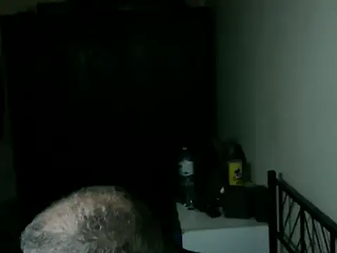 100Tauros online show from 04-17-26, 11:46