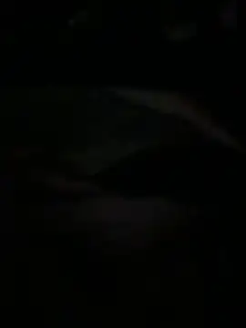 Ariel Ari online show from 02-01-26, 03:05