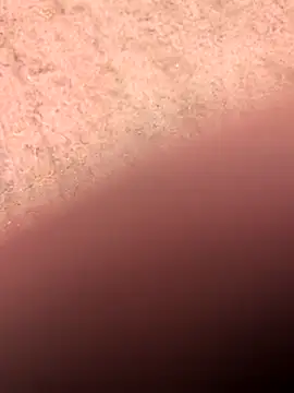 Snapshot of klownman1 chatting on 03-01-25, 06:00 klownman1 online show from 03-01-25, 06:00