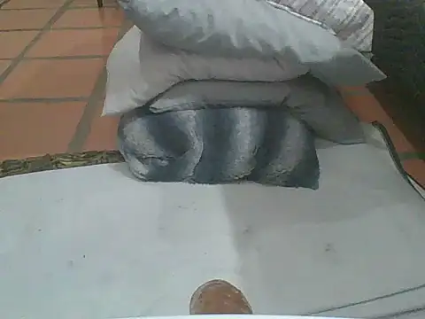 Snapshot of MrPatrick777 chatting on 02-04-26, 03:56 MrPatrick777 online show from 02-04-26, 03:56