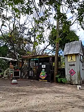 Mistress Melissa online show from 02-04-25, 03:04