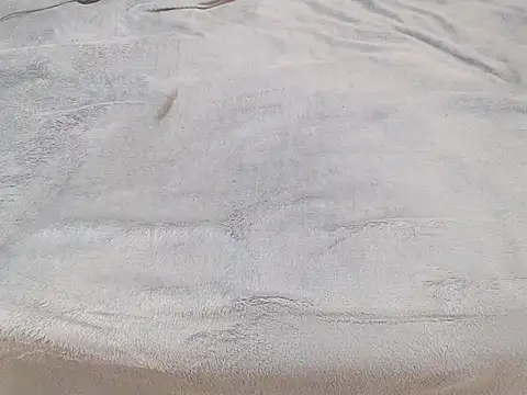 Tequila Bby online show from 12-18-24, 06:10